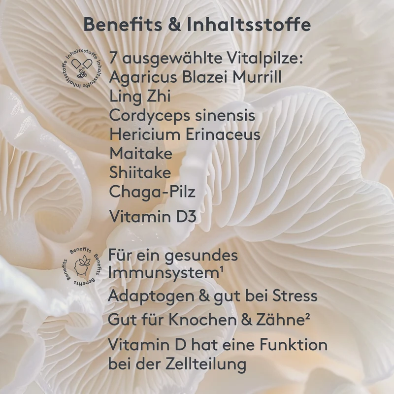 Vitalpilze*