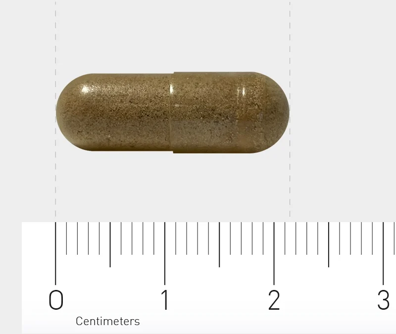 Ginkgo 120 mg