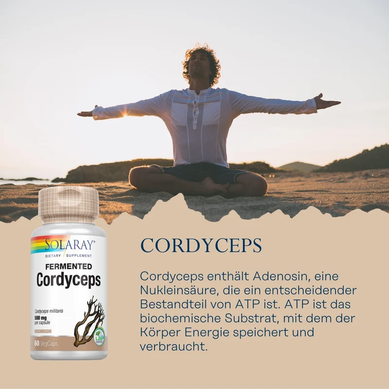 Cordyceps