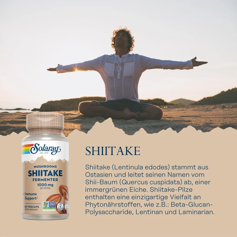 Shiitake