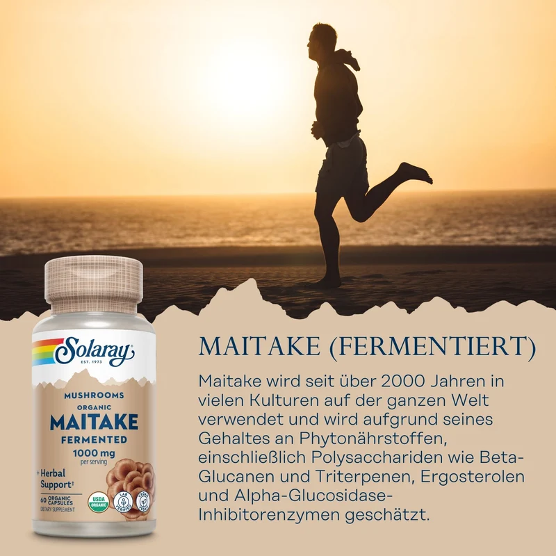Maitake fermentiert