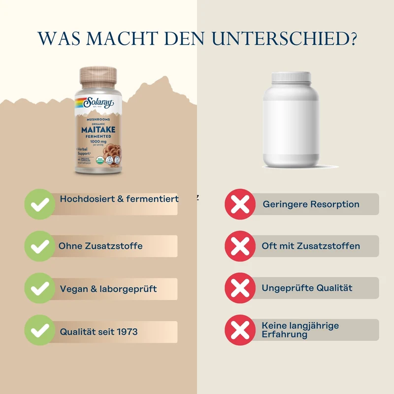Maitake fermentiert