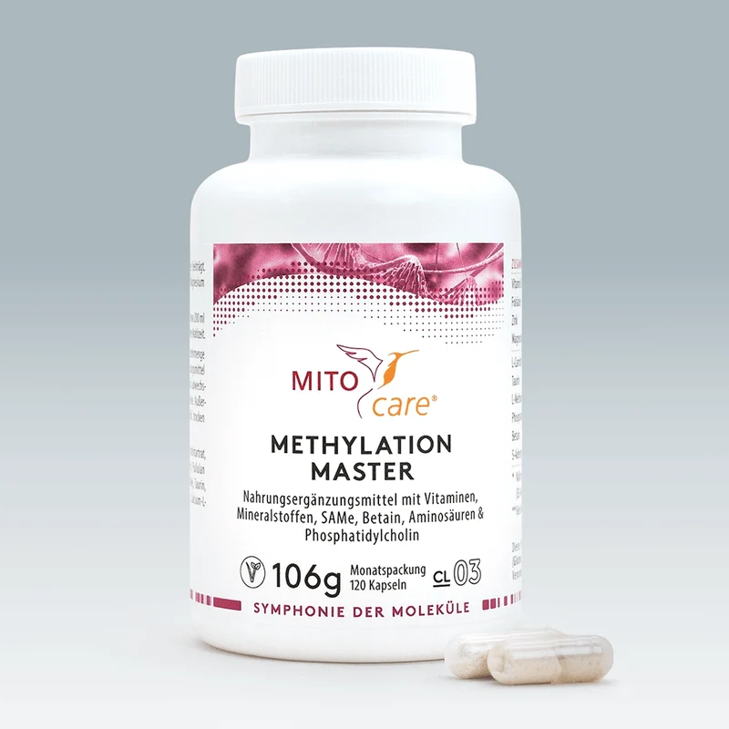 Methylation Master