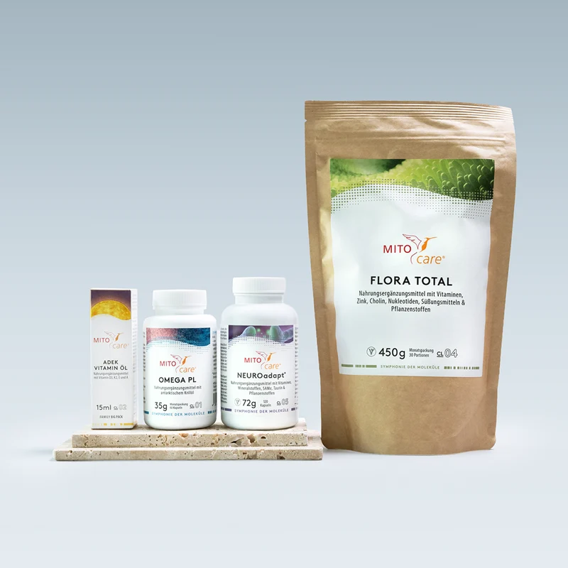 Gedächtnis Paket