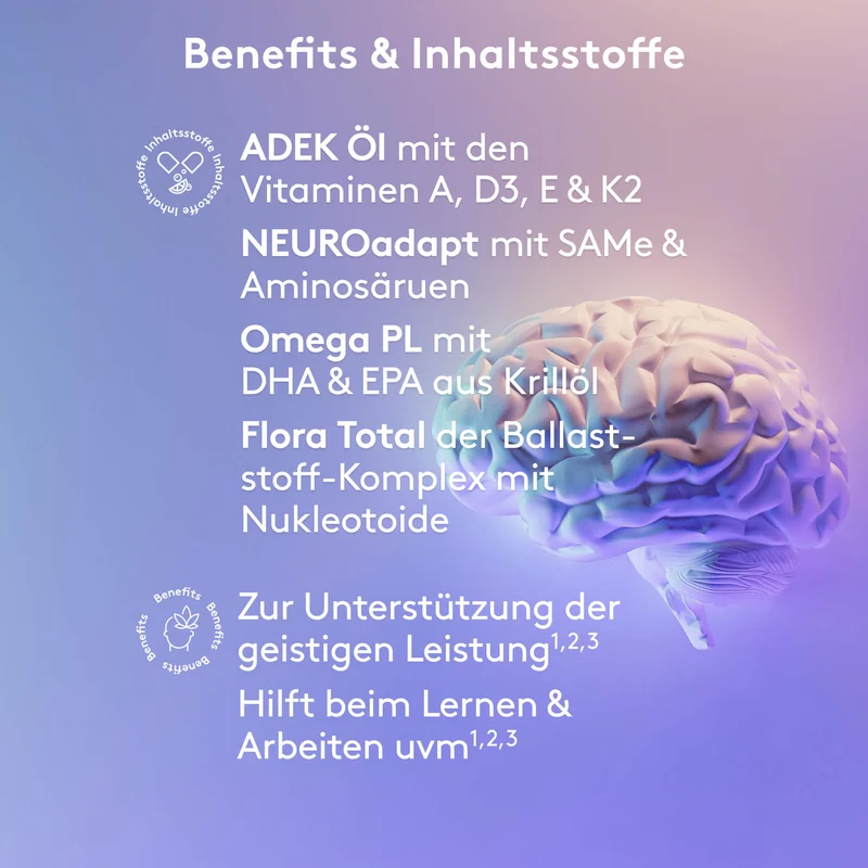 Gedächtnis Paket