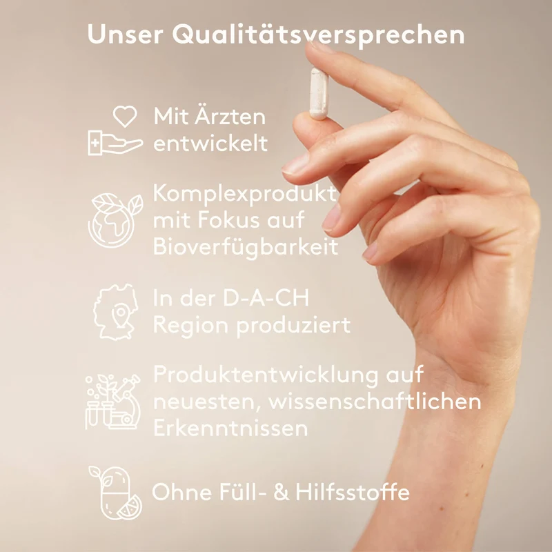Gedächtnis Paket