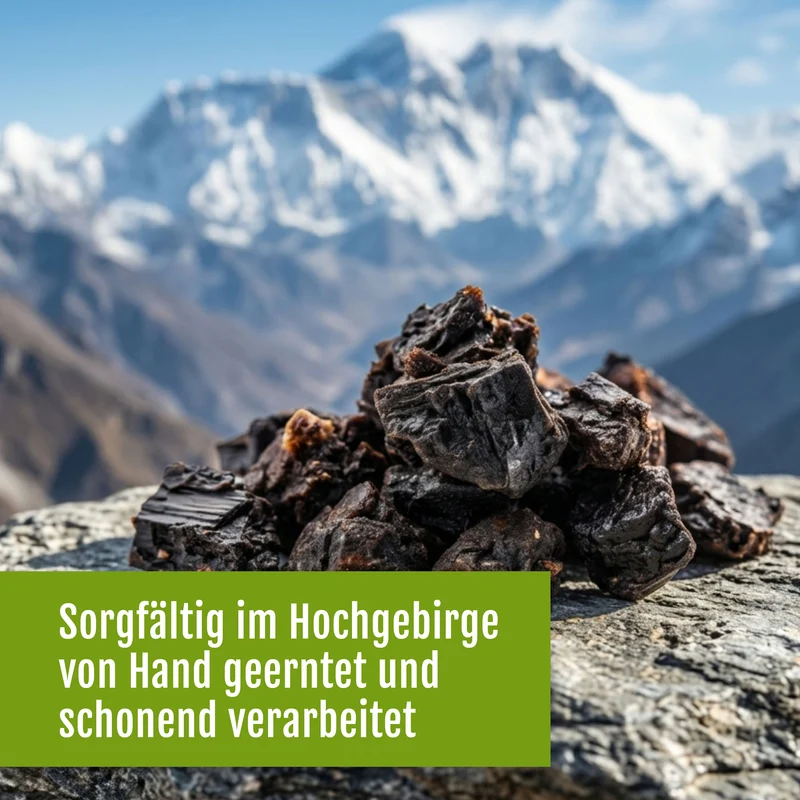 Shilajit