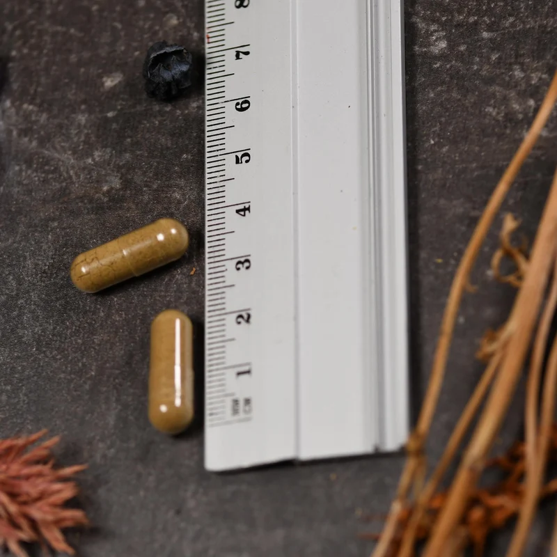Tribulus Extrakt
