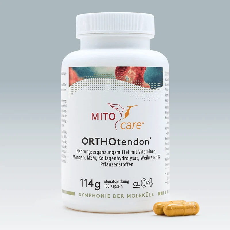 ORTHOtendon*