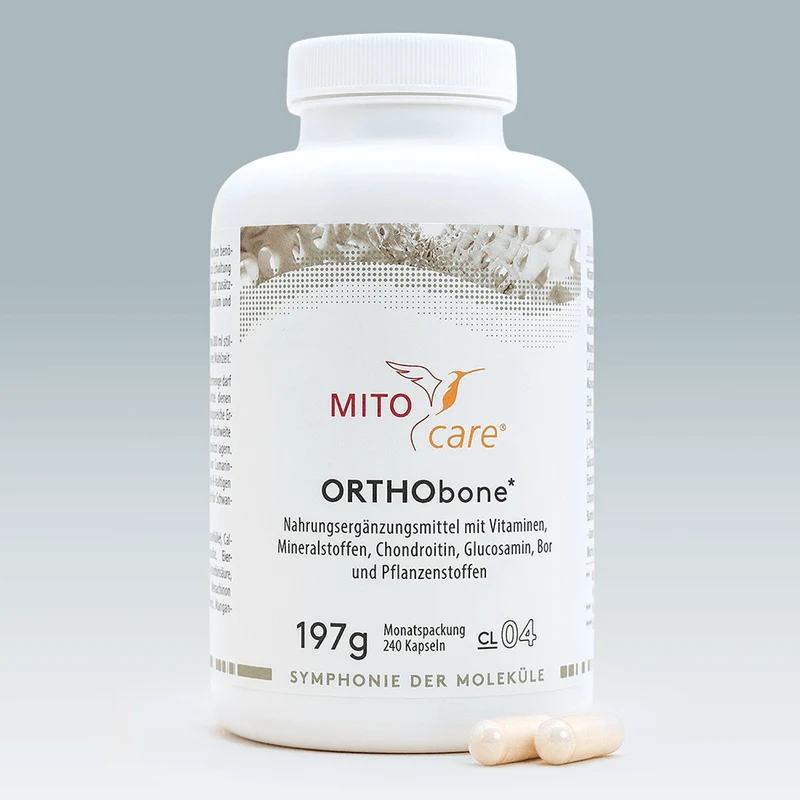 ORTHObone*