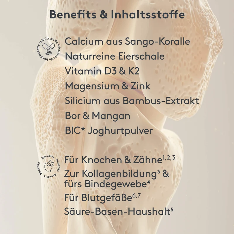 ORTHObone*