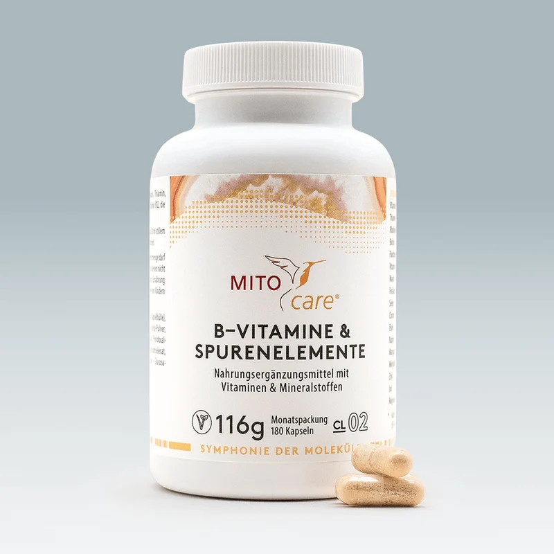 B-Vitamine & Spurenelemente