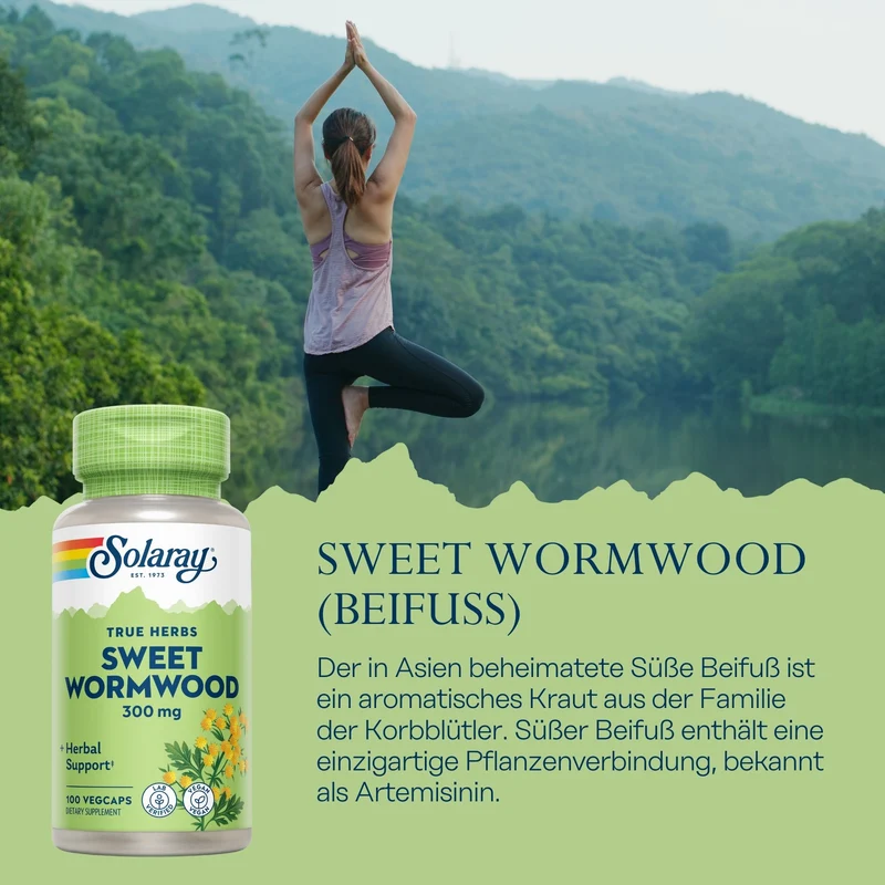 Sweet Wormwood