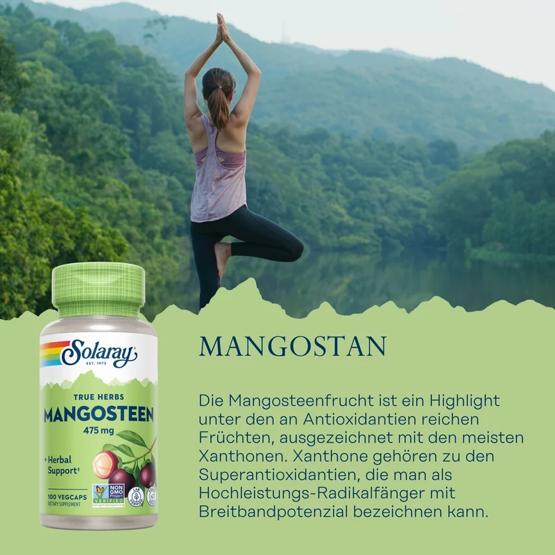 Mangostan