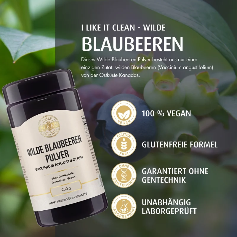 Wilde Blaubeere