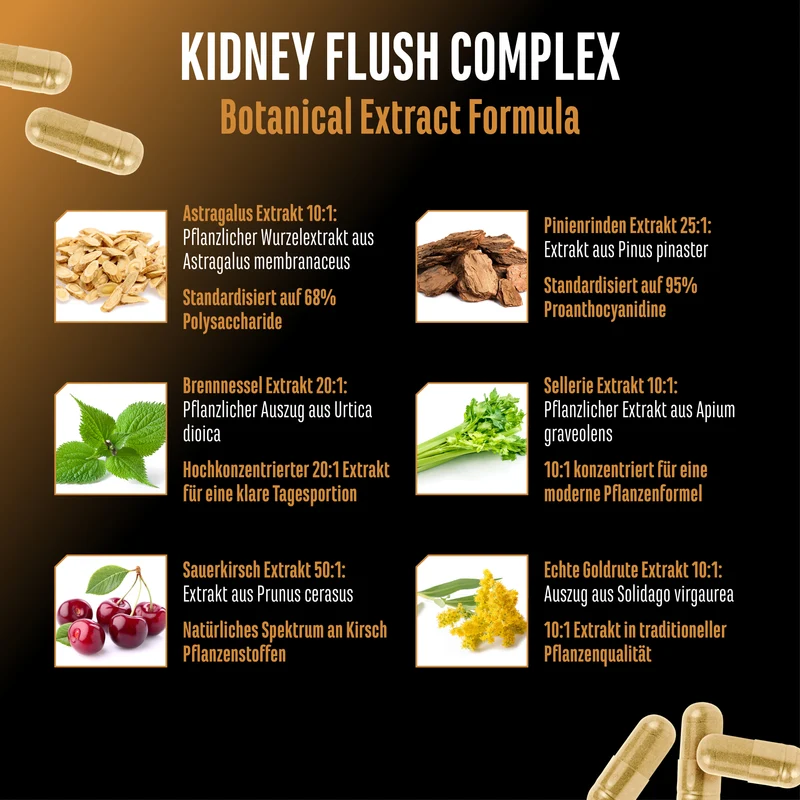 Kidney Essentials