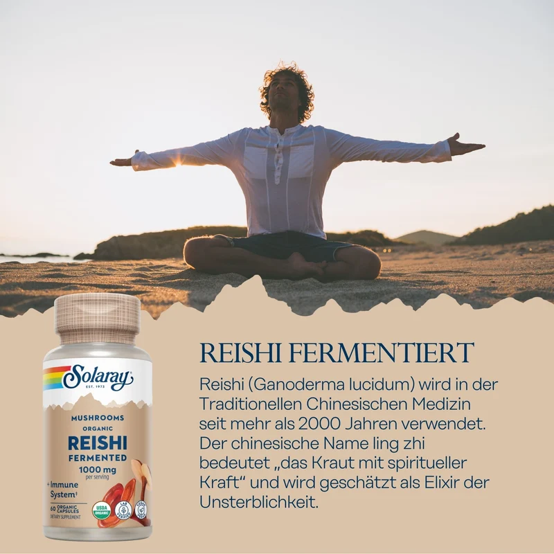 Reishi fermentiert