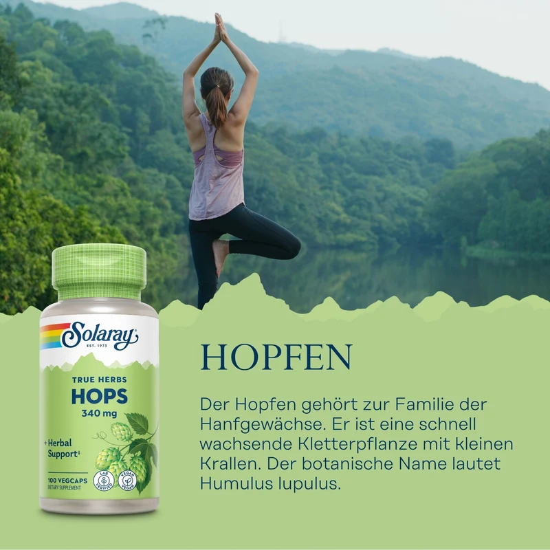 Hopfen