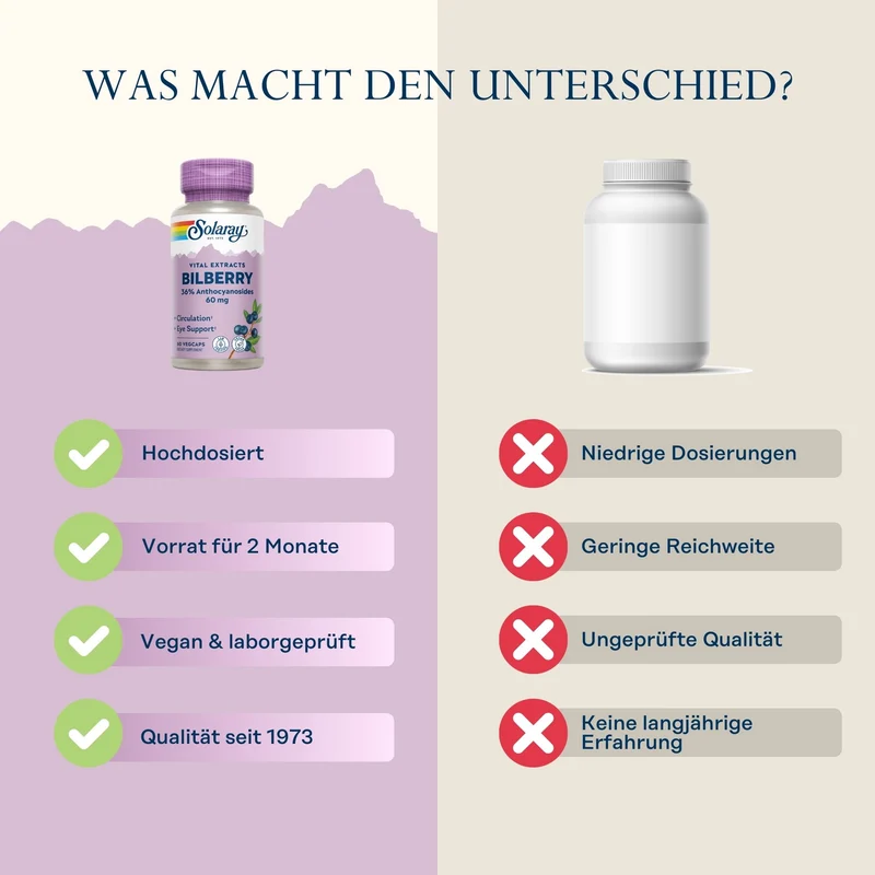 Blaubeere 60 mg