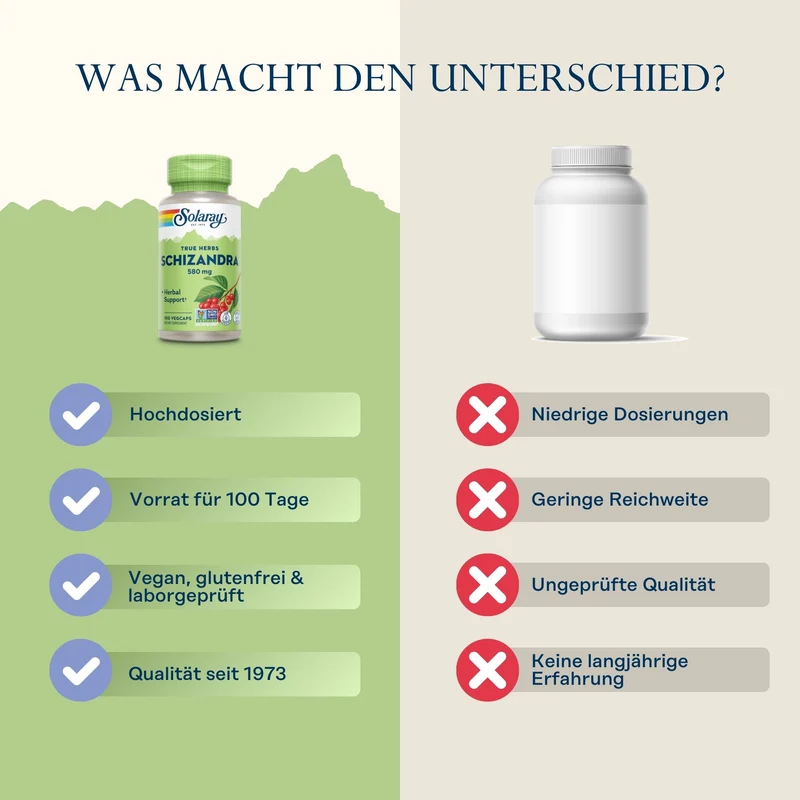 Schizandrabeeren