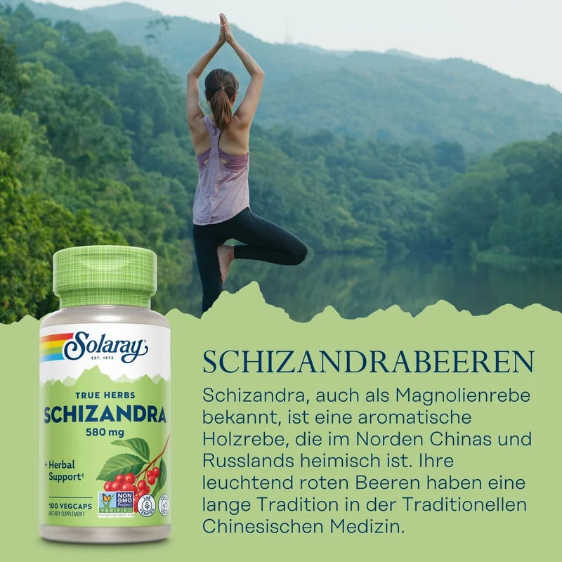 Schizandrabeeren