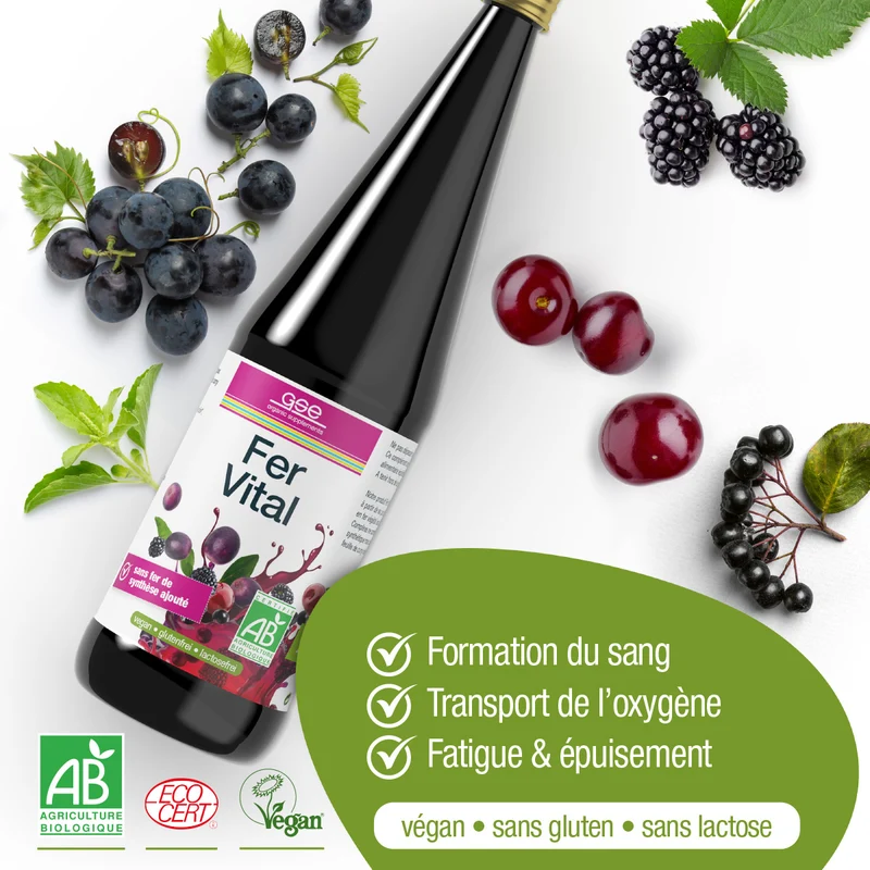 Complexe vital de fer (bio)
