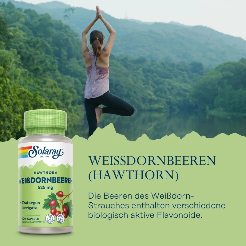Weißdornbeeren