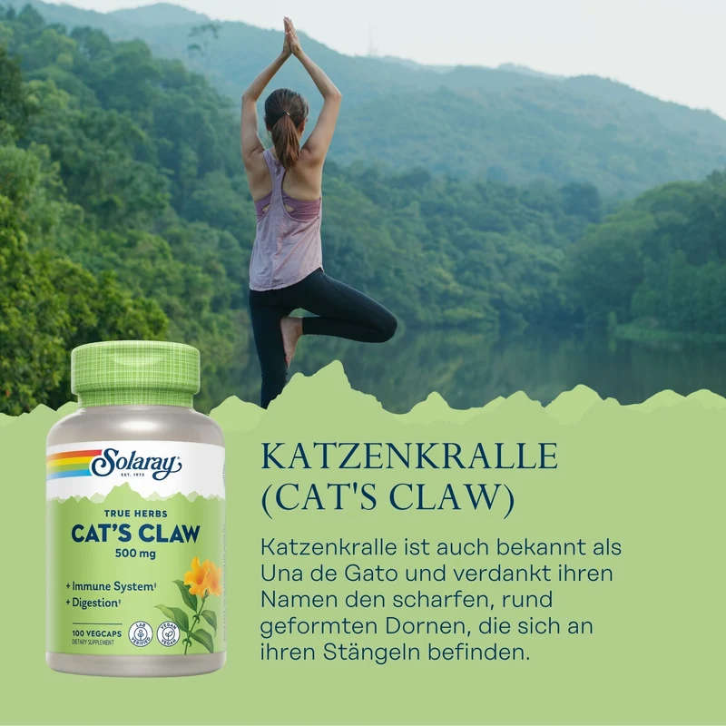 Katzenkralle