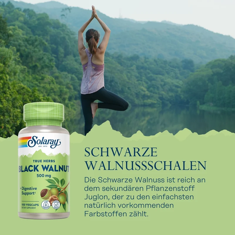 Schwarze Walnuss