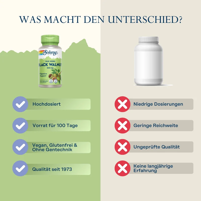 Schwarze Walnuss