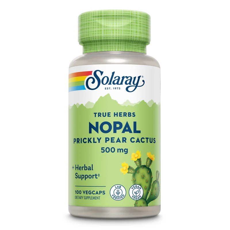 Feigenkaktus Nopal