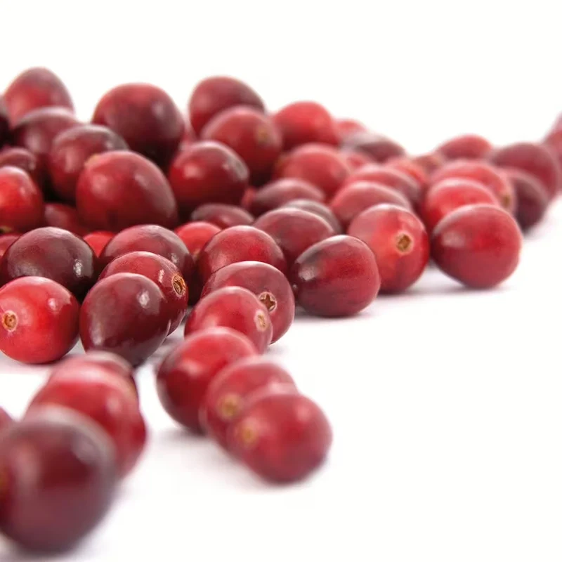 Urovit®-canneberge en poudre