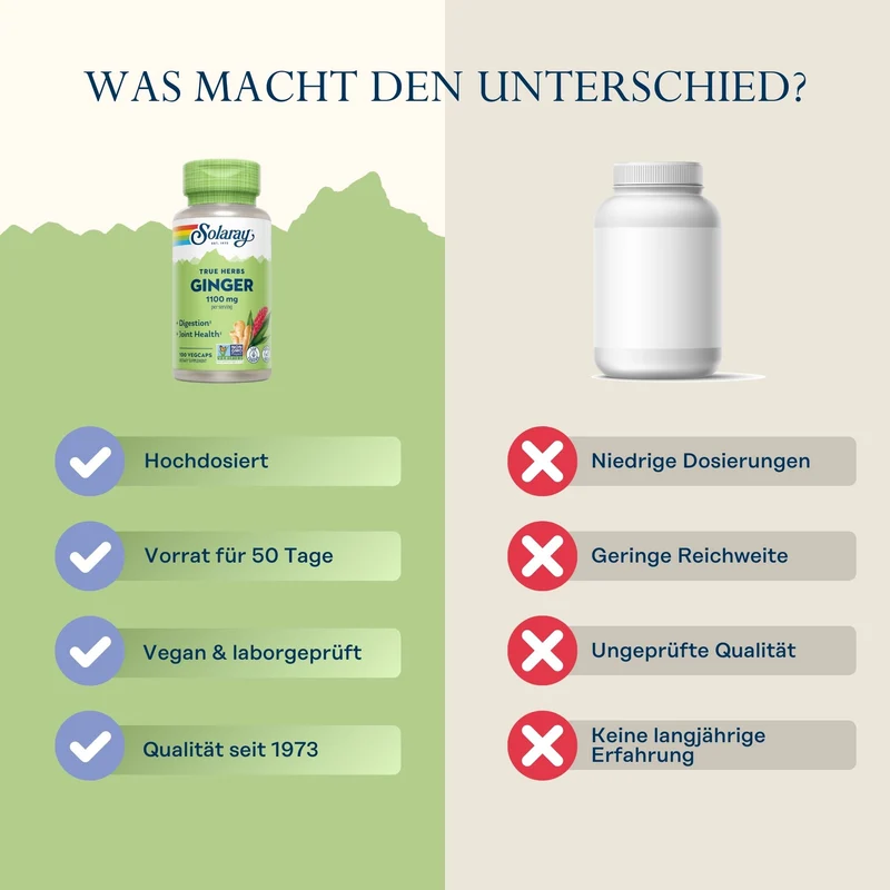 Ingwerwurzel