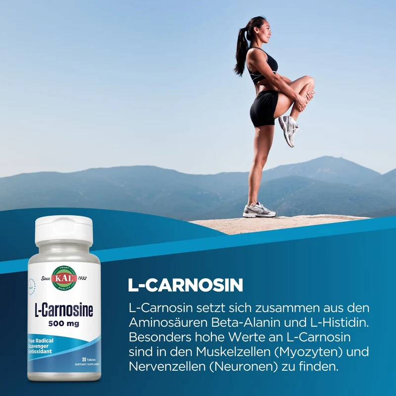 L-Carnosin
