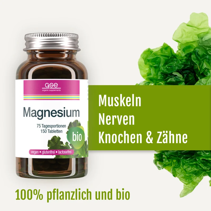 Magnésium Compact (bio)