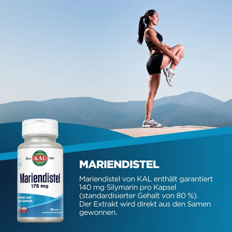 Mariendistel