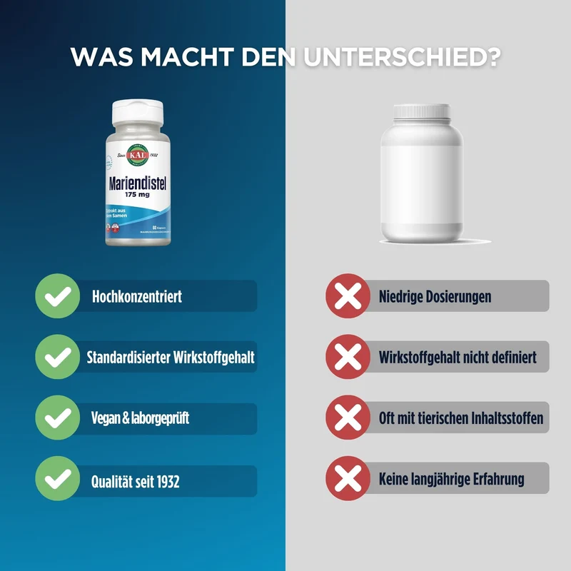 Mariendistel