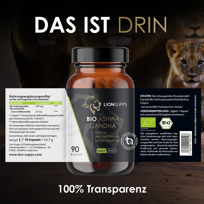 Testo+ Bundle