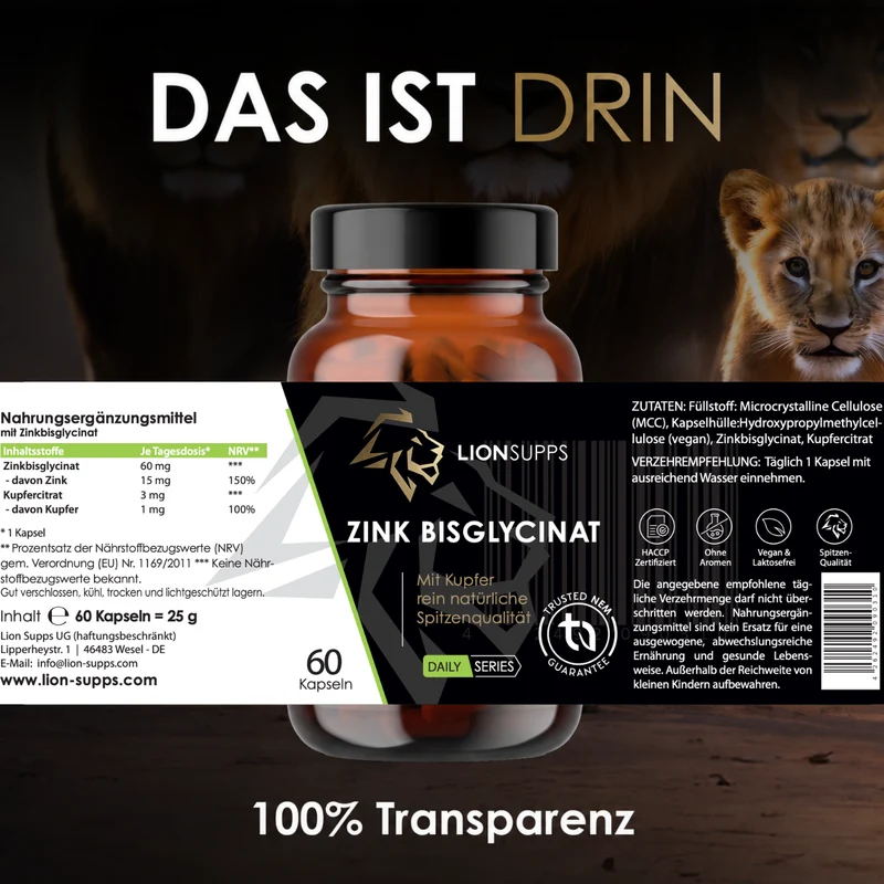 Testo+ Bundle