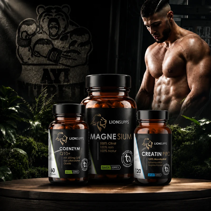 Kampfsport Bundle | by Coach Levo