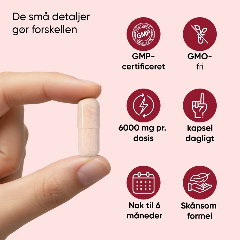 Montmorency surkirsebær 6000 mg