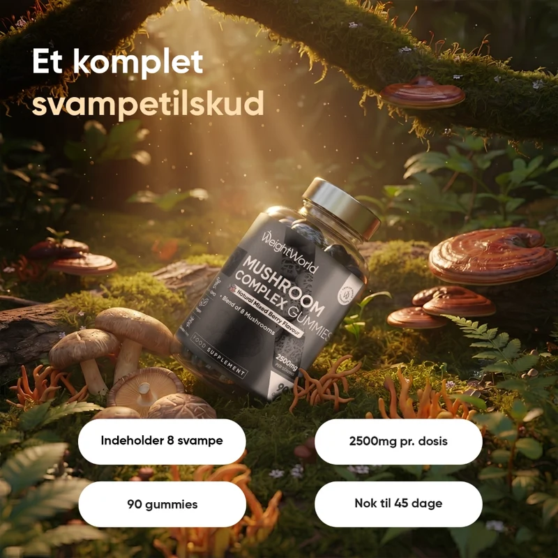 Svampe Complex Gummies