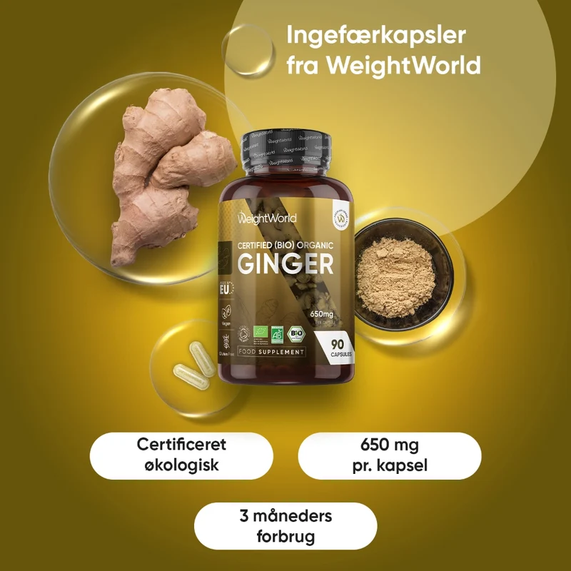 Økologisk ingefær 650 mg