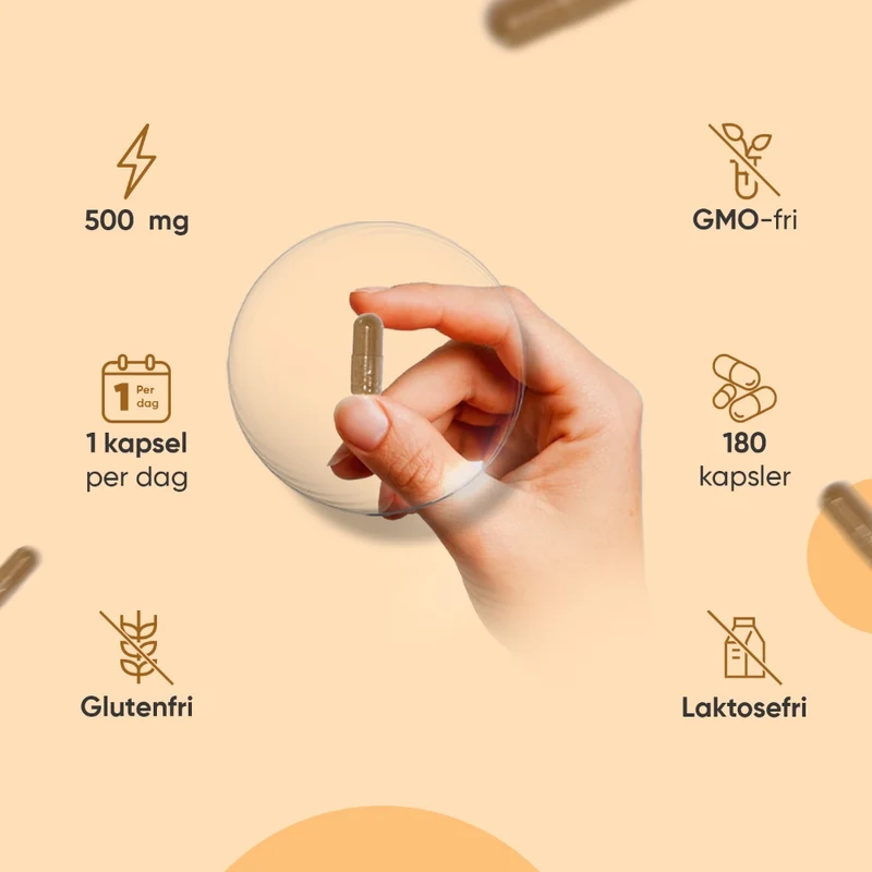 Curcumin + ingefær 500 mg