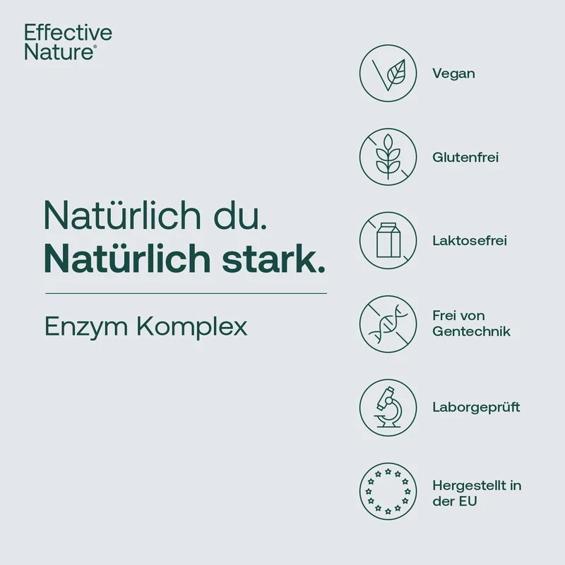 Enzym Komplex