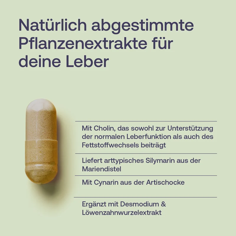 Leber Komplex