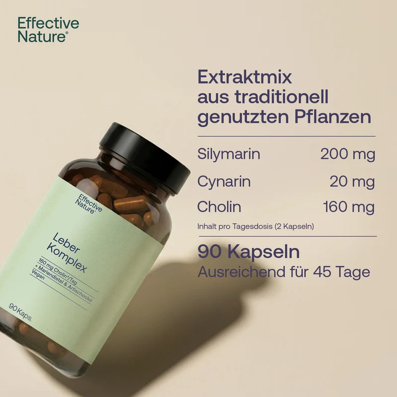 Leber Komplex