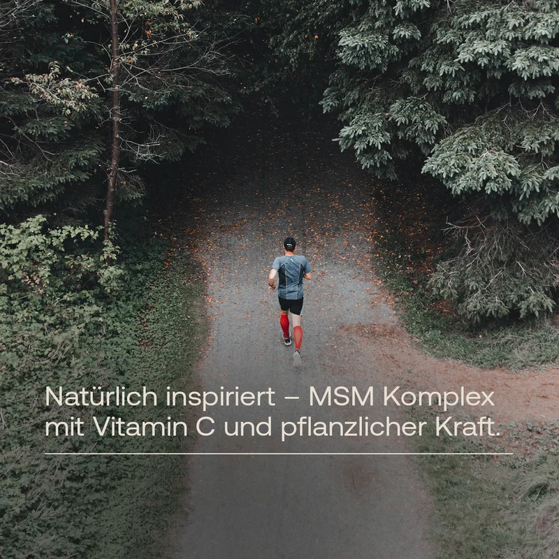 MSM Komplex Kapseln