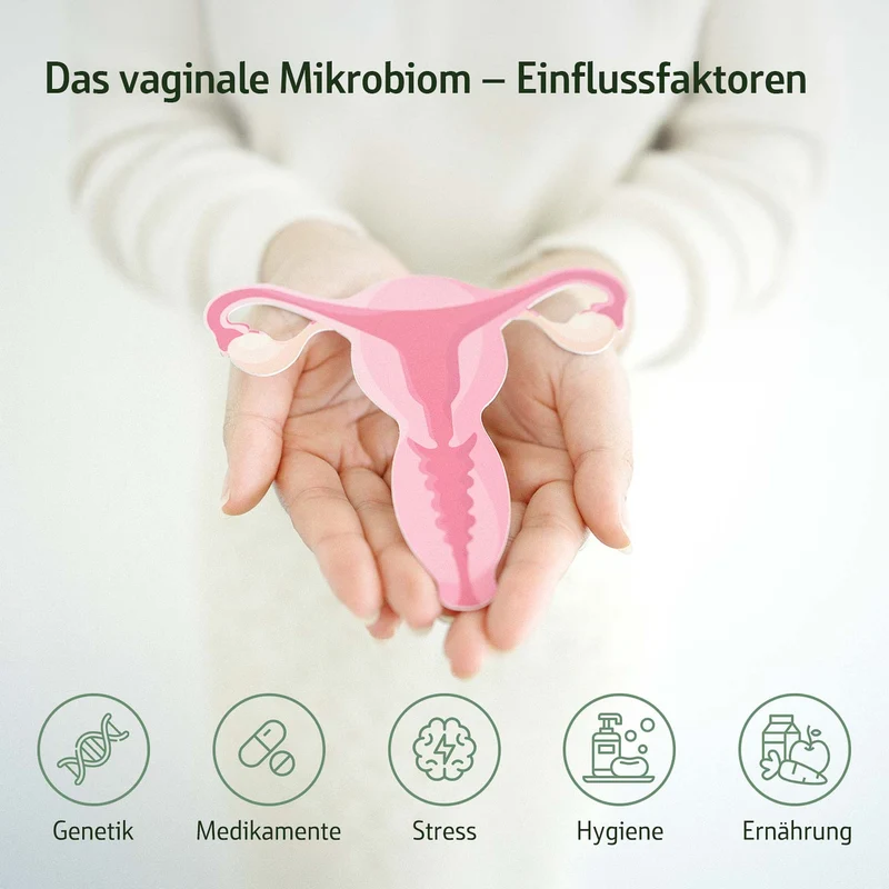Combi Flora Femme Kapseln