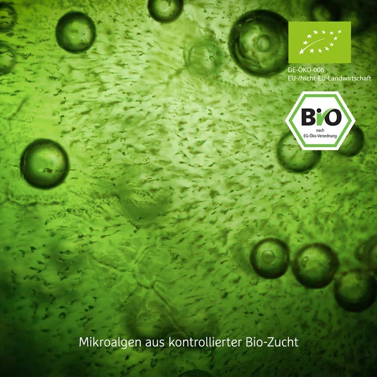 Bio Spirulina Tabletten